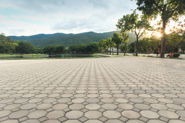 Best Residential Paver Driveway  in Bridgewater, VA